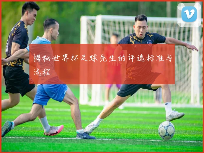 揭秘世界杯足球先生的评选标准与流程